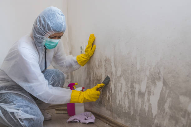 Best Biohazard Mold Removal  in Jasper, AL